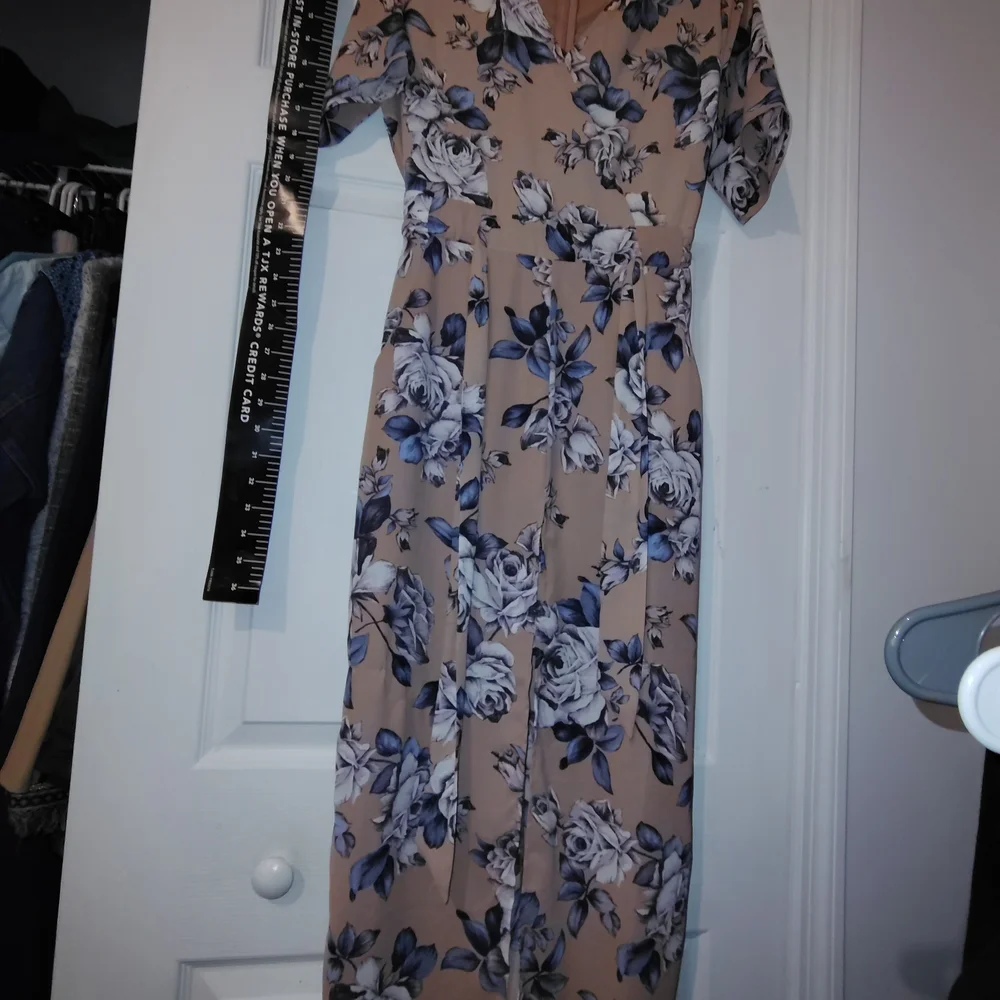 Sienna Sky Tan and Blue Floral Dress S New Nwot